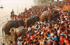 महीना भर चलता है विश्व प्रसिद्ध सोनपुर मेला